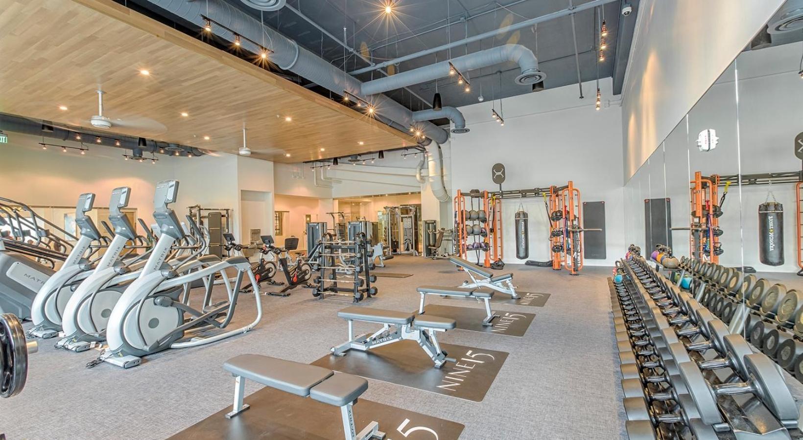 1Br Oasis In Downtown Tampa W Balcony & City Views Exteriör bild